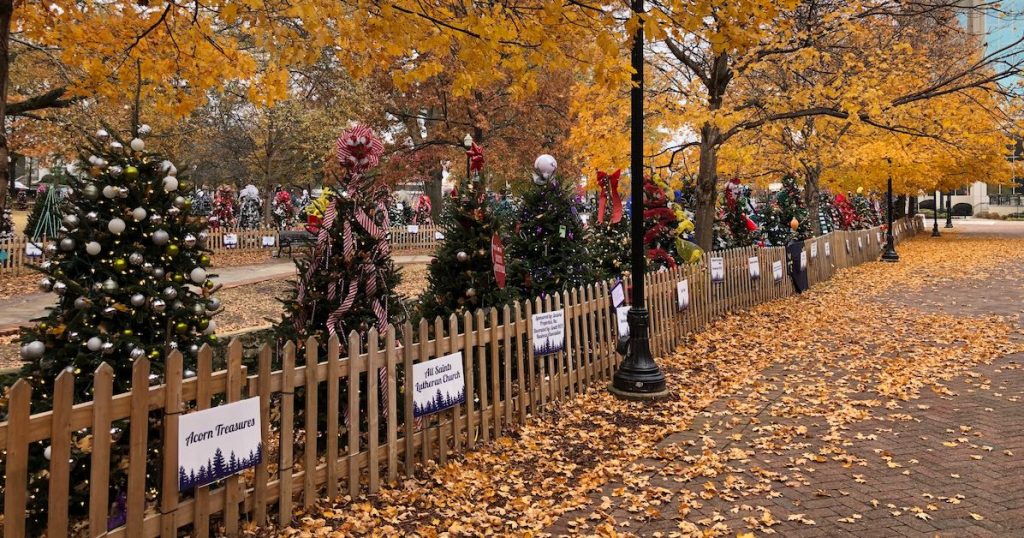 Tinsel Trail trees